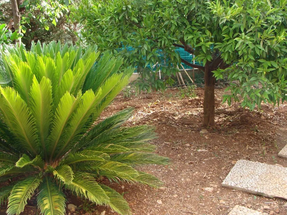 La Casetta Nel Verde Guest House Palermo 0*,  Italy